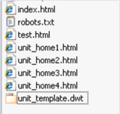 dynamic web template file list screenshot